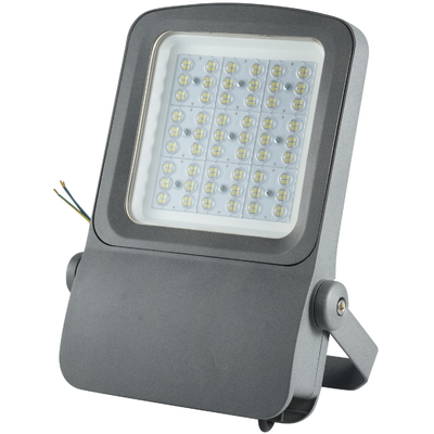 Luce di inondazione principale portatile all'aperto dello stadio 100w 200w per del paesaggio sportivi