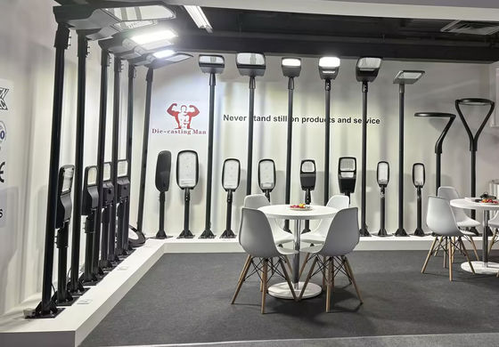 CRI 80 Lampada stradale di struttura semplice con elevata efficienza di alimentazione