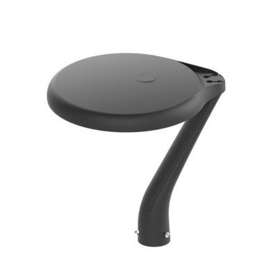 5 anni di garanzia IP66 impermeabile 100W alluminio LED Post Top Light Area pubblica Parco giardino Lampada di decorazione paesaggistica