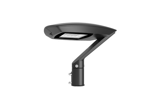Luce da giardino all'aperto a LED 50W Illuminazione urbana Omologazione CE Illuminazione esterna personalizzabile