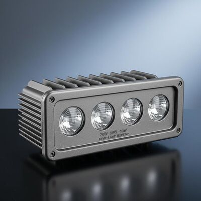 Alloggiamento di fusione a stampa industriale personalizzato per lampioni stradali da 20W, 30W, 40W, con 4 lenti.